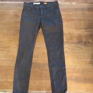 Pilcro and the Letterpress Size 25 Stet Pant